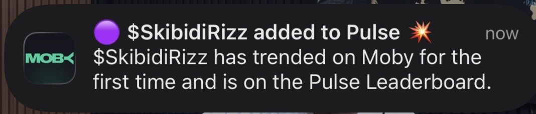 Rocky tweet media