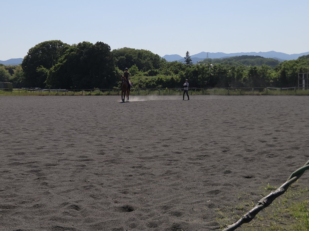 水野貴史厩舎【公式】 tweet media