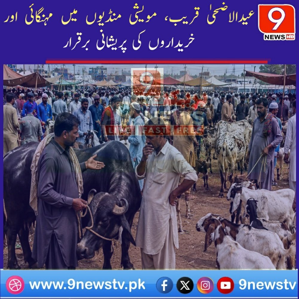 9News tweet media