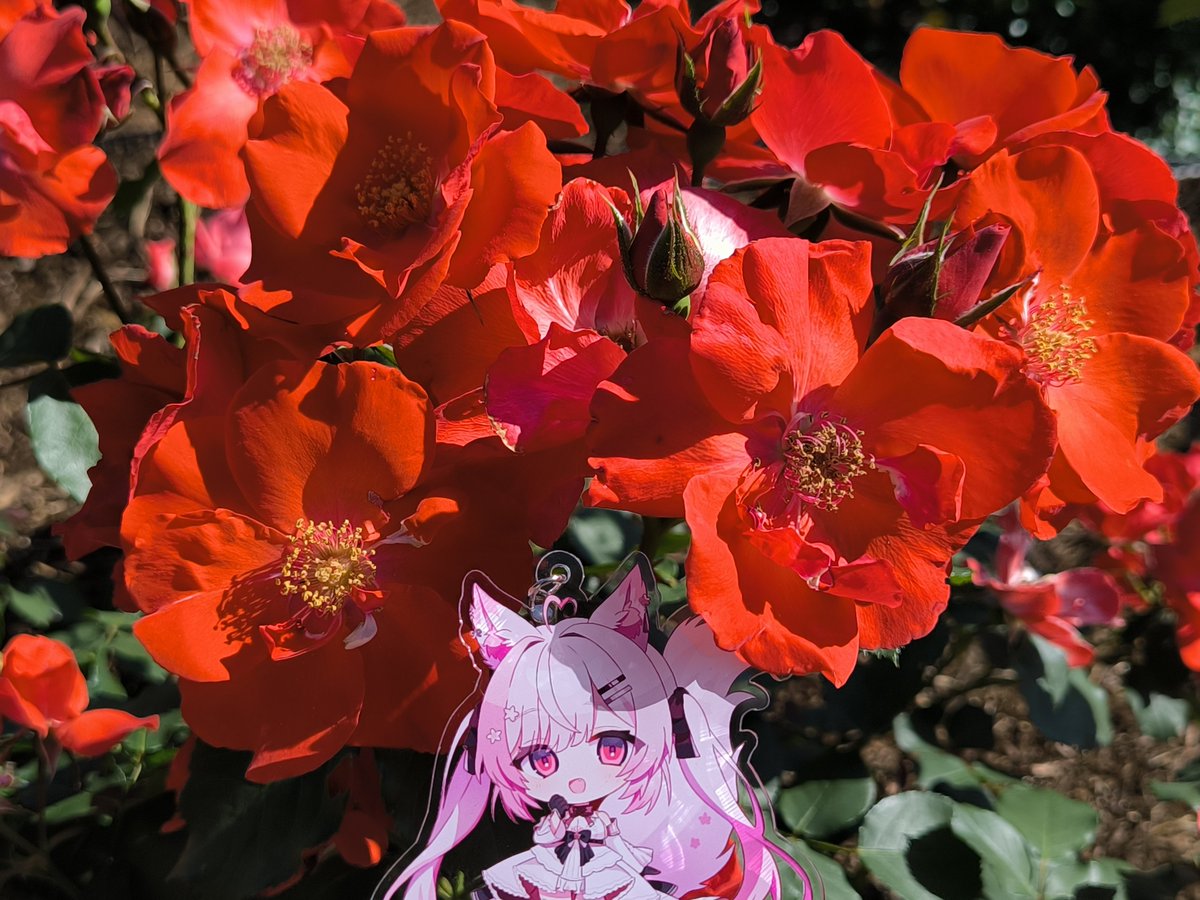 お花〜…！( ˶' '˶)✨️