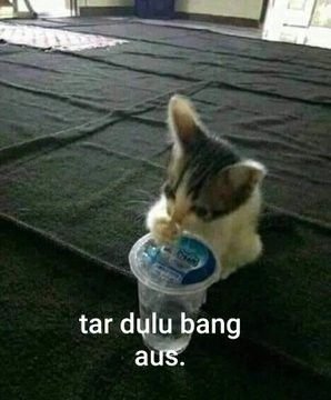 ‎ ‎ ‎ ‎ ‎ ‎ ‎ dey♡ tweet media