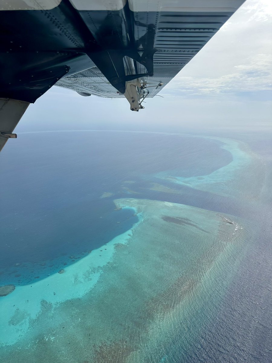 CraigGraye's tweet photo. I love this island ❤️
#maldives #thoddoo #travel #travelling #island #adventure #islandlife #summer #beach # https://t.co/yqHtFljpoD