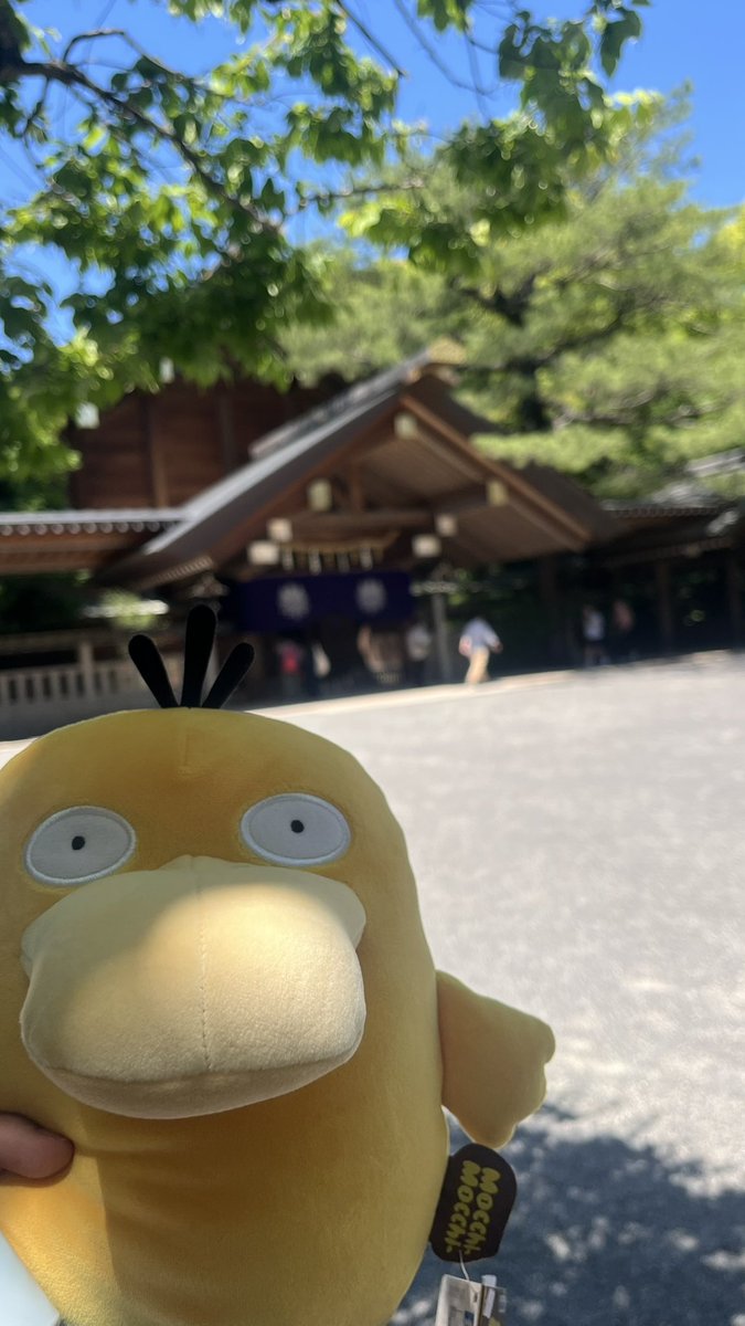 すこーん tweet media