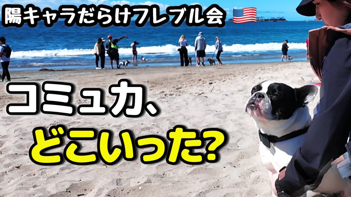 muta_muta116's tweet photo. YouTube公開しました！
陽キャラばかりアメリカのフレブルイベントに初参加｜テンパリすぎてコミュ力崩壊 https://t.co/MYlCjr0Ndc @YouTubeより https://t.co/akmszQrtxv