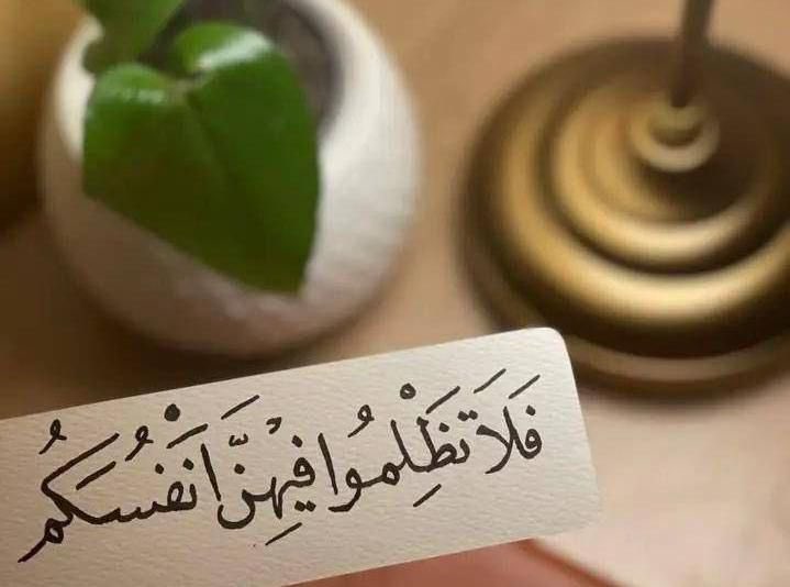 محمد المنتشري tweet media