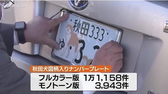 ネットで話題の動画 tweet media