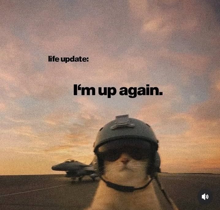 Wizzy204💙 tweet media
