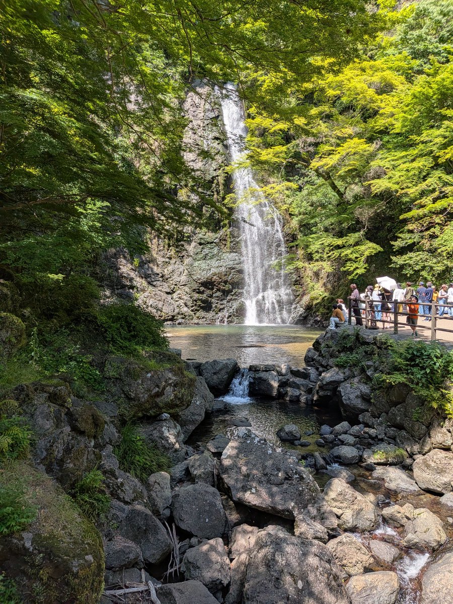 UmekageLC's tweet photo. 気分転換にと箕面の滝へ行ってみた。遊歩道が工事中で通常の倍近い距離の険しい道を通らないといけない。麓にあるカフェでカレーをいただく。店内にジブリの曲が流れているのは、道中に白龍大明神（ハク）が祭られているからか。 https://t.co/rx4yaLzzvv