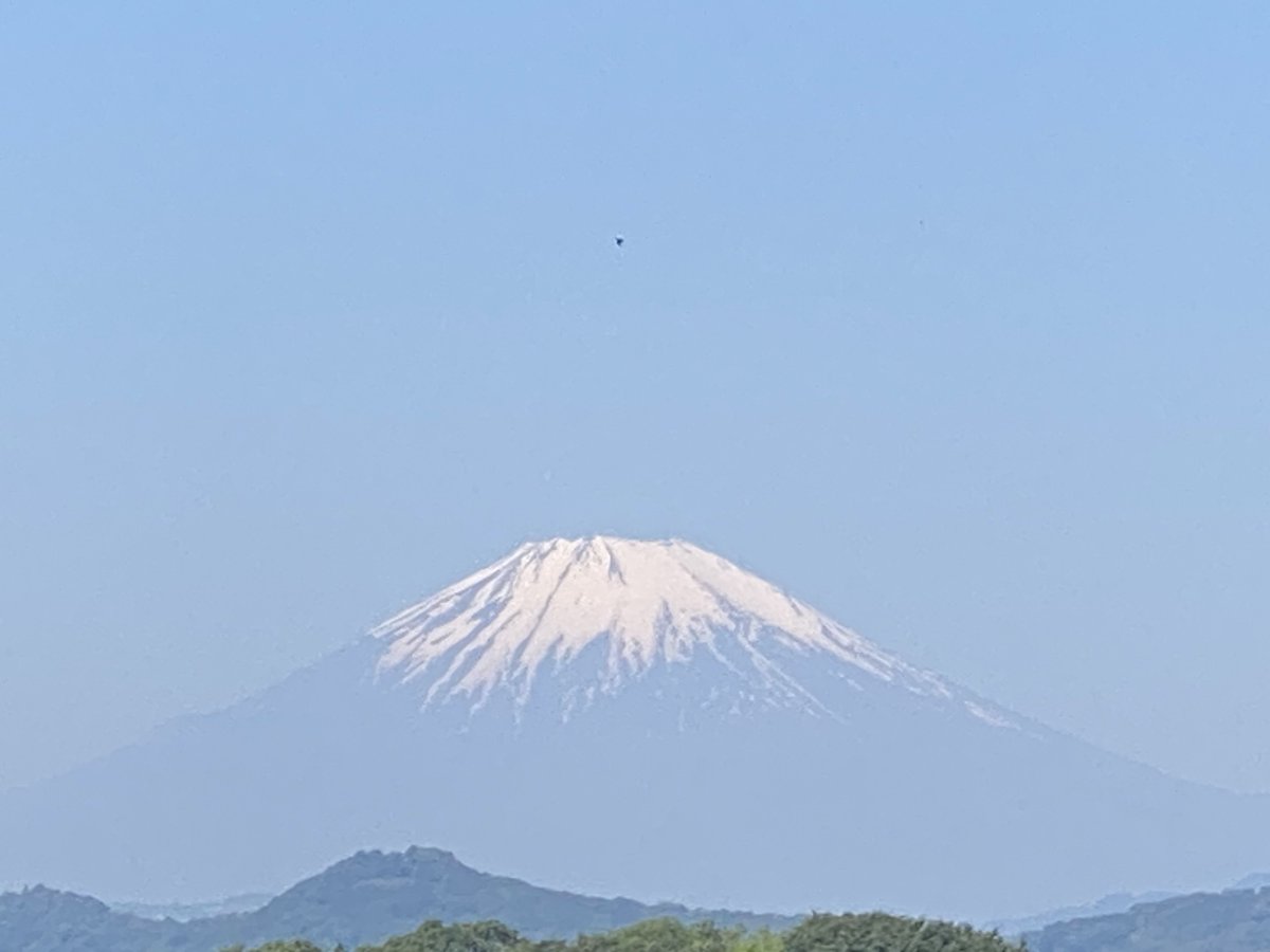 meechul_710's tweet photo. 週末だけのウォーキング始めました🚶‍♀️

コスモスも可愛かったし
まだ雪が残る富士山もキレイだった☺️ https://t.co/ux07b7S3MA