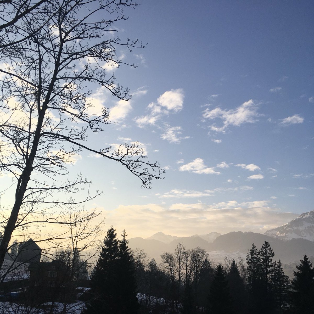 CarmedeMilmanda's tweet photo. se as palabras
puidesen reflectir
o sol
poderían queimarnos
pero aínda así
plantan lume nos corazóns
e danlle corda ao mundo
coa esperanza de salvarnos https://t.co/Qf0FQZO1Rx