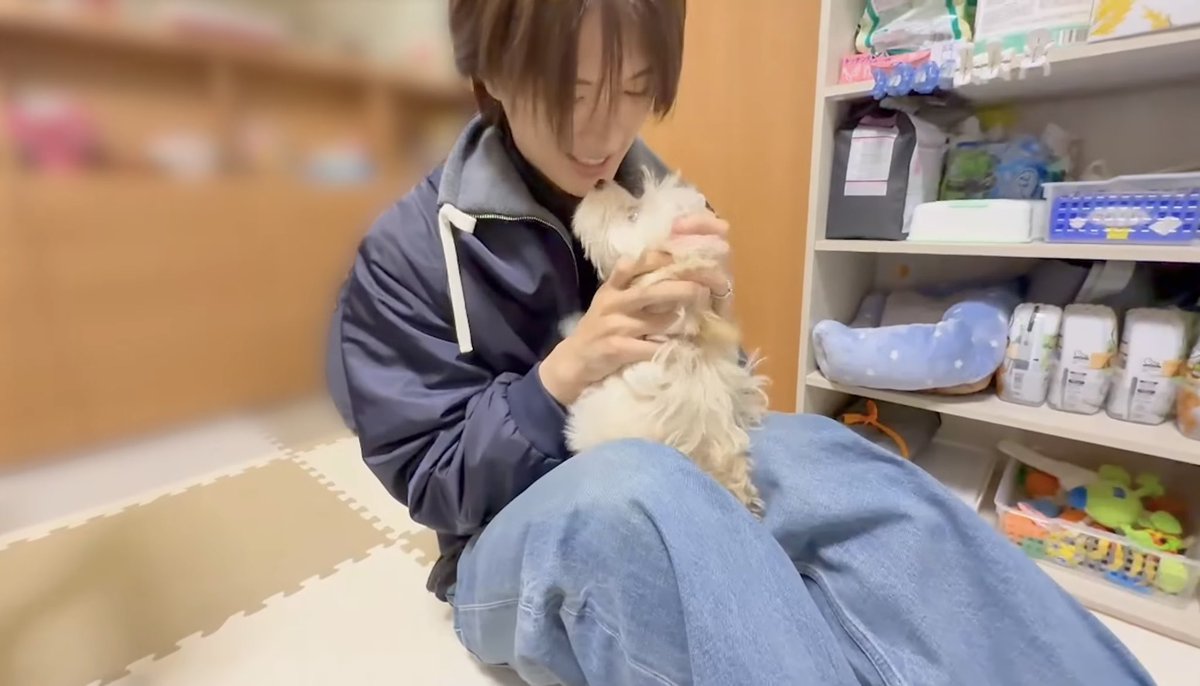 もーちゃんです。 今すぐにでもポムちんに生まれ変わりたい🤭☺️🐶💕🤍💕🤍