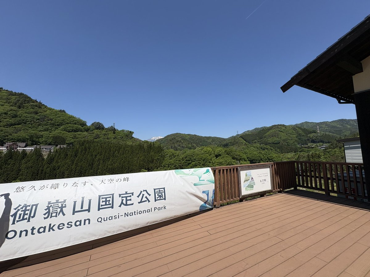 若葉 tweet media