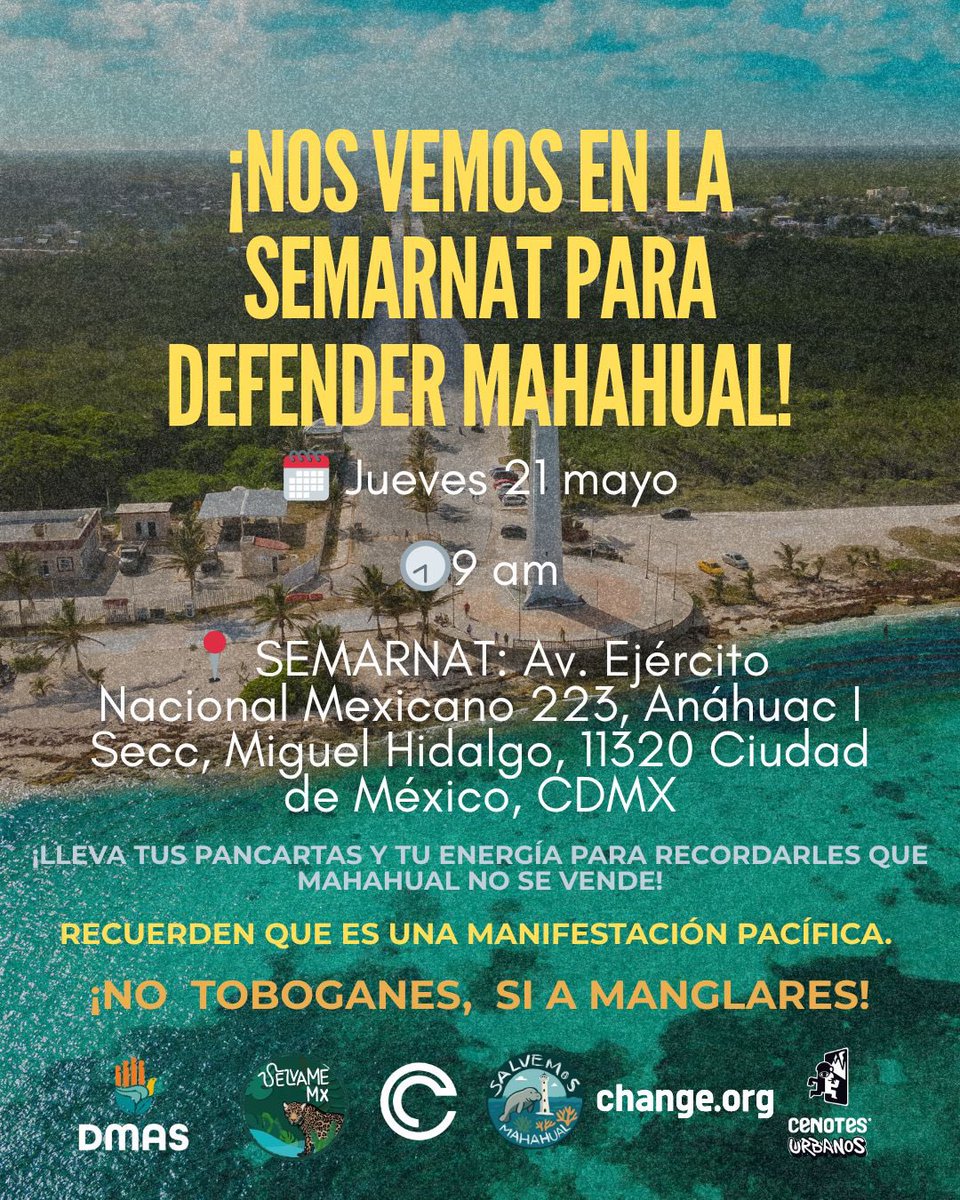 🎙️ ᗰᖇ. ᑕíᐯIᑕO ®🇲🇽₿ ✖️ tweet media