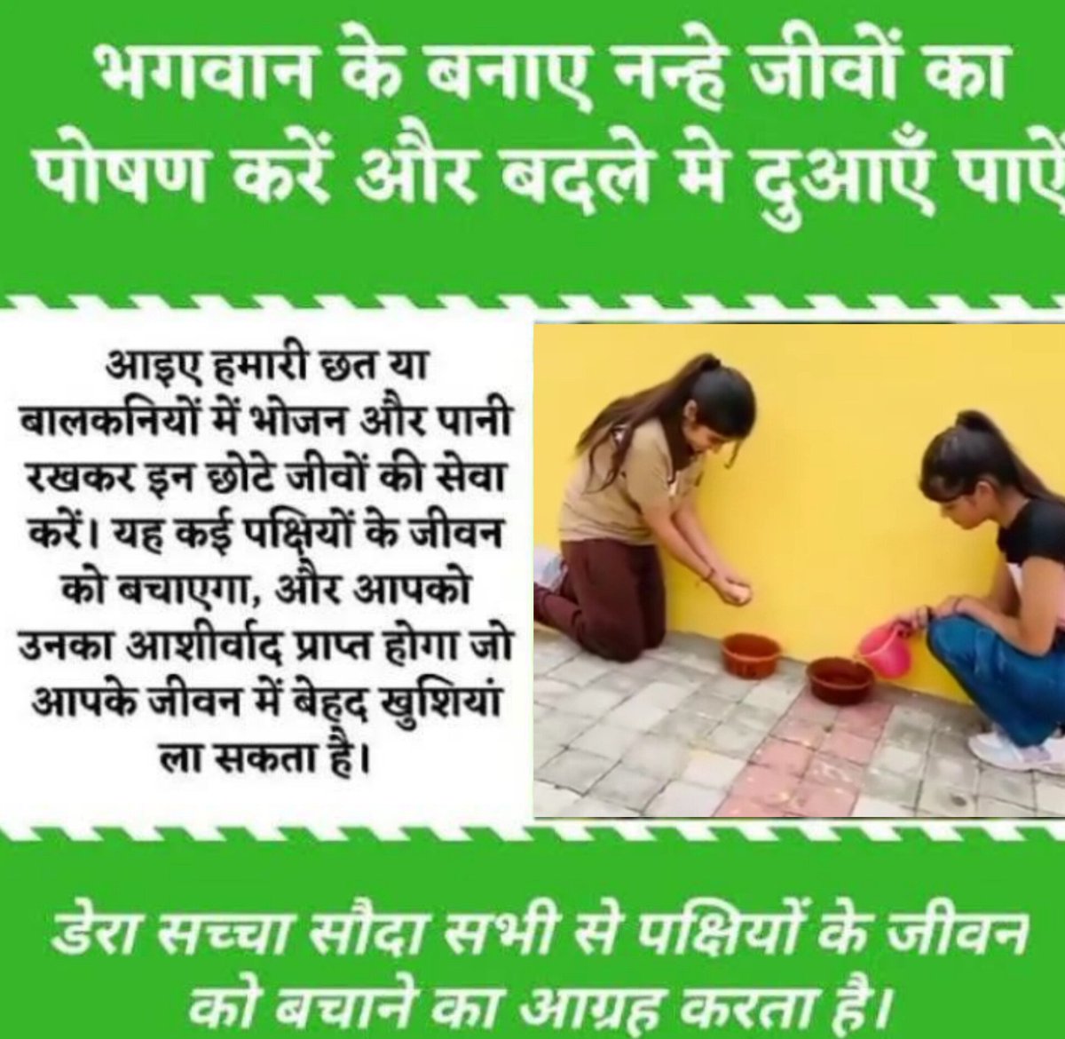 Jiya Insa ✨(Knl) tweet media