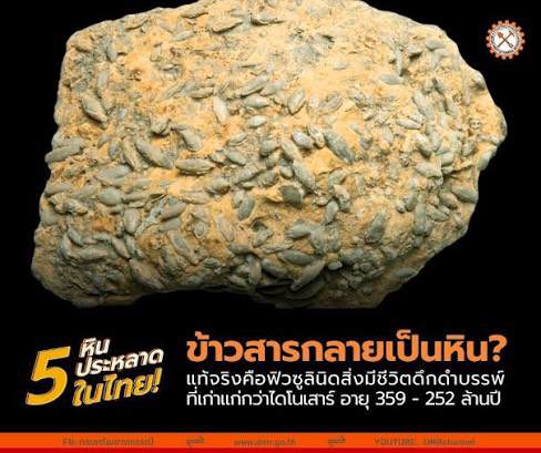 คุณเอิร์นนนนนนนนน tweet media