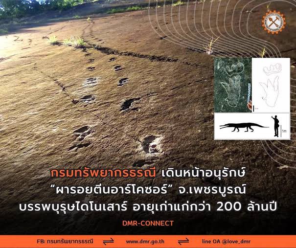 คุณเอิร์นนนนนนนนน tweet media
