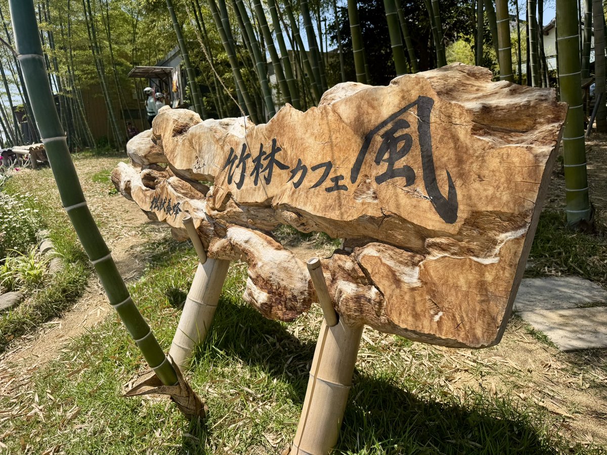 cool_hanzo's tweet photo. #竹林カフェ https://t.co/hAevr3lVtV