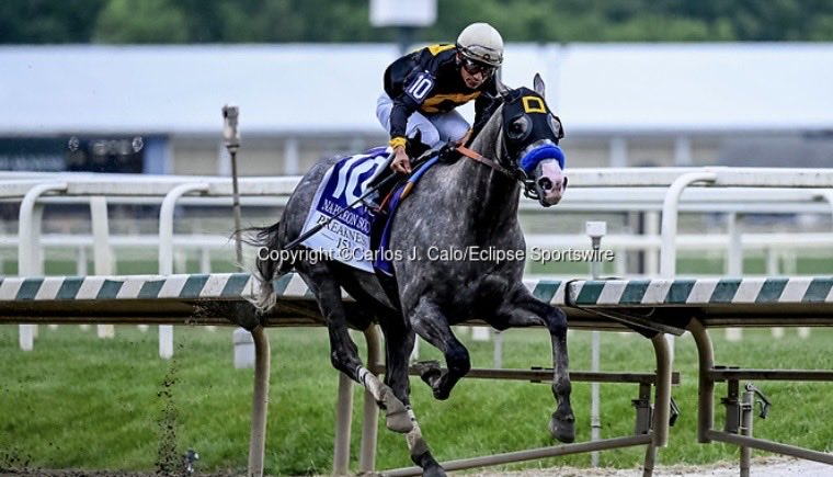 CManchegopr's tweet photo. Napoleon Solo (10), montado por Paco López, gana el Preakness Stakes (Grado 1) en Laurel Park, en Laurel, Maryland, el 16 de mayo de 2026. 

©️Carlos J. Calo/Eclipse Sportswire https://t.co/CZ7CwEtkUE