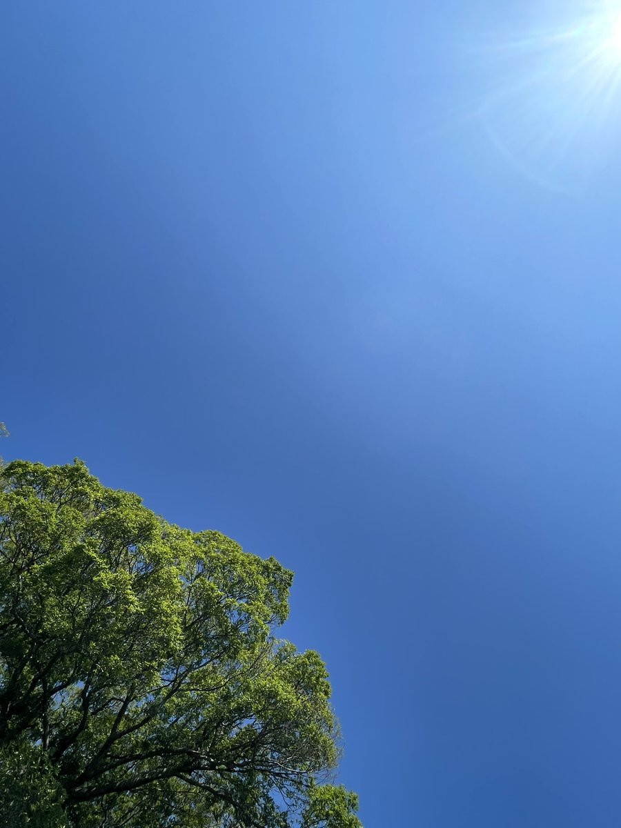 STEP_GOTW's tweet photo. 5月の風は心地よく☀️新緑 眩しく🌳
気持ちよかった𓂃◌𓈒𓐍🐾🐾🐾🐾ᵕ̈ https://t.co/5qjmBNA4SH