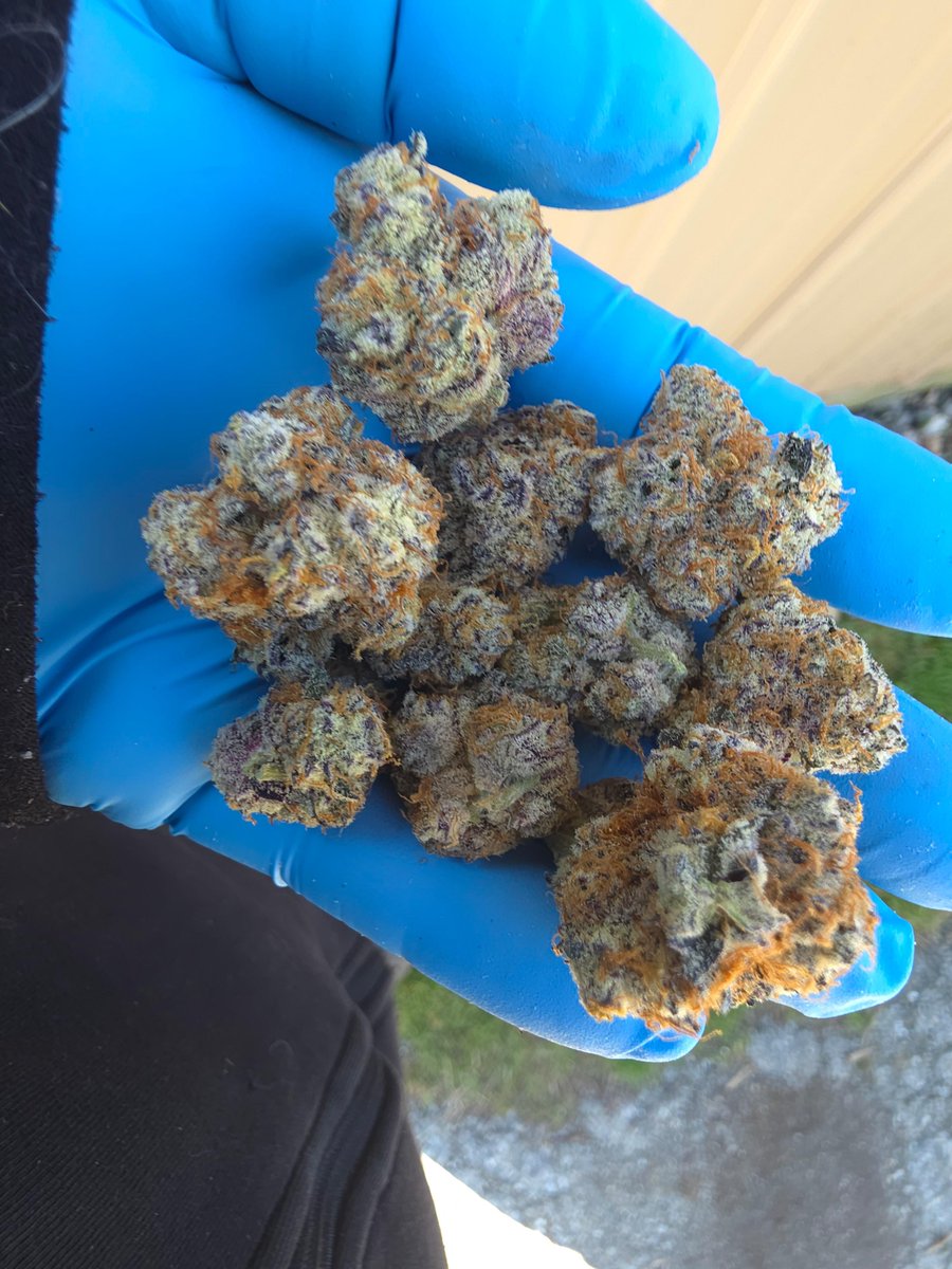 #NorwoodCreekFarms🌲🔥 tweet media