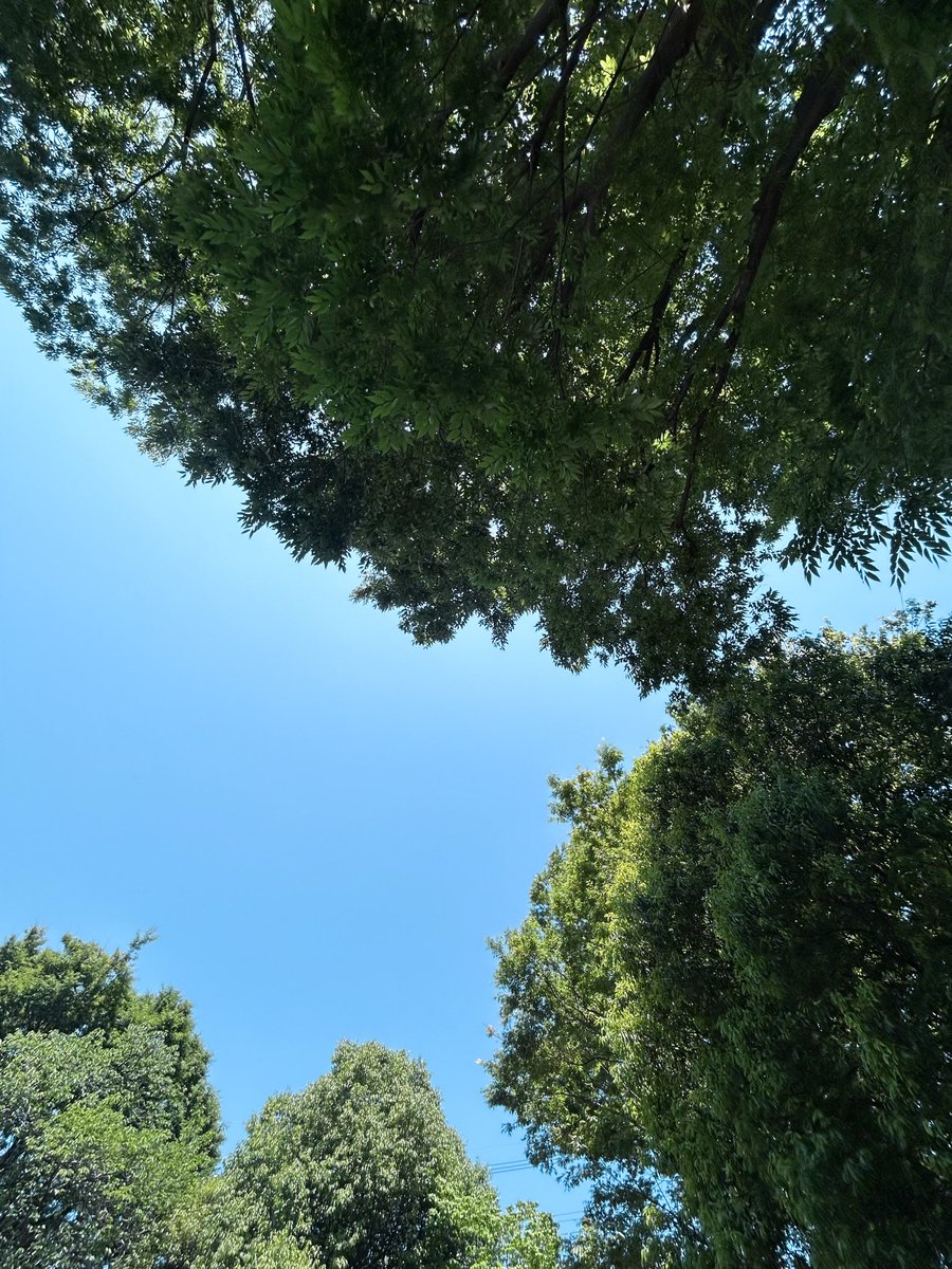 nature_trip_'s tweet photo. ゆっくりゆっくりウォーキング👶🏻👟

去年のちょうど今頃、カミーノ巡礼に向けて20kmとかウォーキング練習してた。

その1年後にはお腹に命が宿ってくれていて、、、本当に感慨深い💭 https://t.co/jVjINefg70
