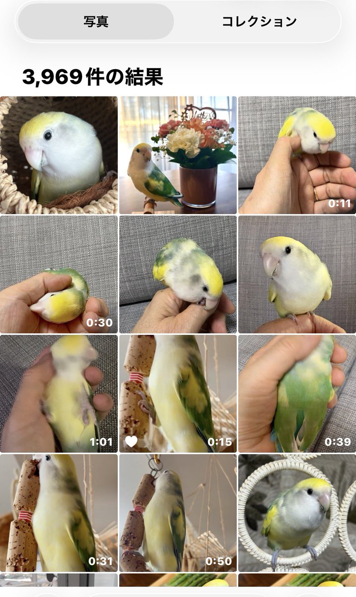 wee(custard)万博2025に感謝❗️ tweet media