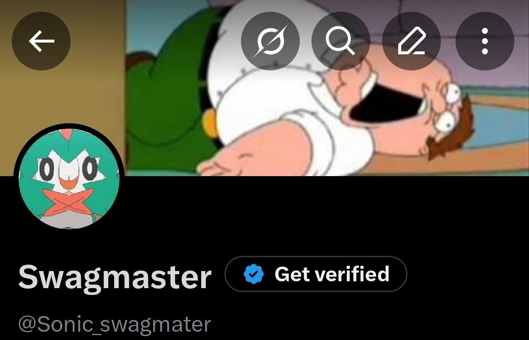 Swagmaster tweet media