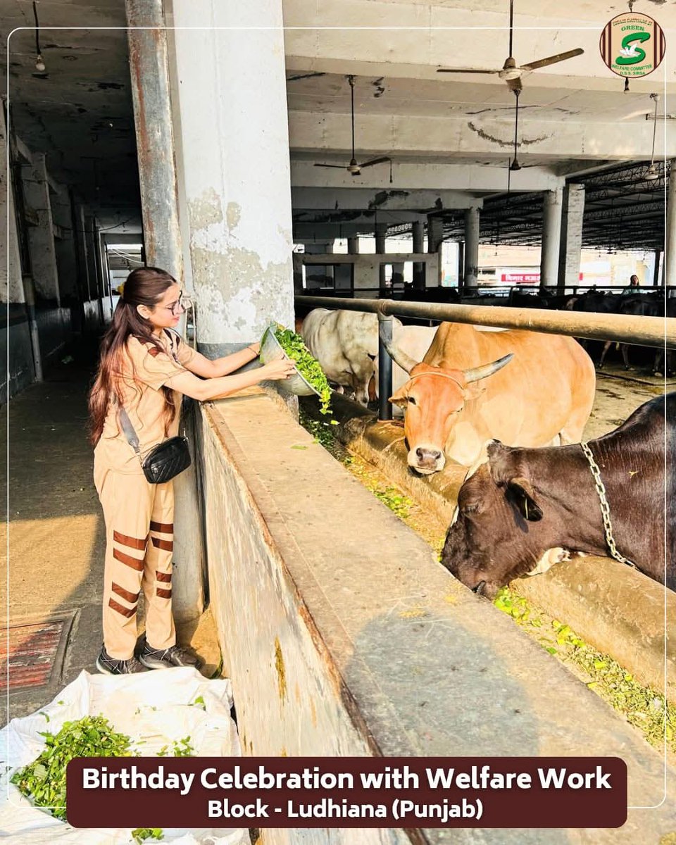 itz____vishal's tweet photo. जानवर और पक्षी
अपनी भूख-प्यास बोलकर नहीं बता सकते,
इसलिए उन पर दया करना
हर इंसान का फर्ज़ है।
Saint Gurmeet Ram Rahim ji 
की प्रेरणा से लाखों लोग
बेजुबान जीवों को खाना, पानी
और प्यार दे रहे हैं।
आओ हम भी
हर जीव पर दया करें,
क्योंकि दया ही
सबसे बड़ी इंसानियत है।
#SpreadKindness https://t.co/o4mmySWy7O