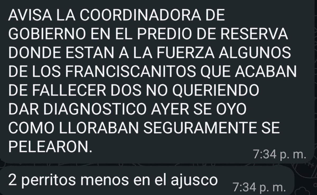 AbigailTor15802's tweet photo. EL PLAN DE LA @FAHaghenbeck Y DEL @GobCDMX ES IRLOS MATANDO POCO A POCO. HOY OTROS DOS FRANCISCANITOS FALLECEN APARENTEMENTE POR LAS PELEAS ENTRE ELLOS. 
PERO SEGUN ELLOS ESTAN "PREOCUPADOS" POR EL BIENESTAR ANIMAL https://t.co/XyjulxJ95M