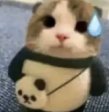 maia arson crimew scary facts and tea tweet media