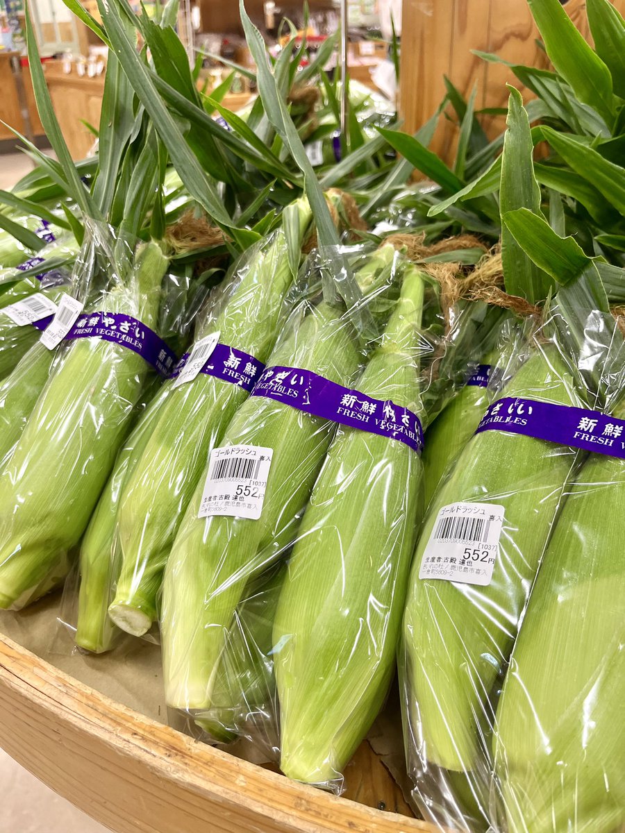 greenfarm_kiire's tweet photo. 大変お待たせいたしましたっ！！
"喜入”スイートコーン入荷です‼️
今シーズン第1号！売り切れ必至！！
お買い求めはお早めに🙌 https://t.co/ILdakhVl9u