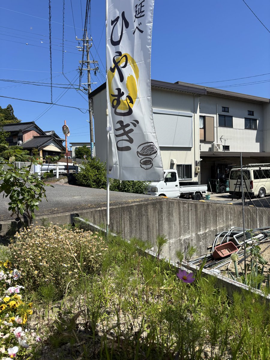 kingyo_ito's tweet photo. ウチのコスモスはもう咲き始めました🌸
夏の花を植えても占領されます
でもちゃんと秋まで順番？に咲いてくれますよ https://t.co/Ty9VTWyc3t