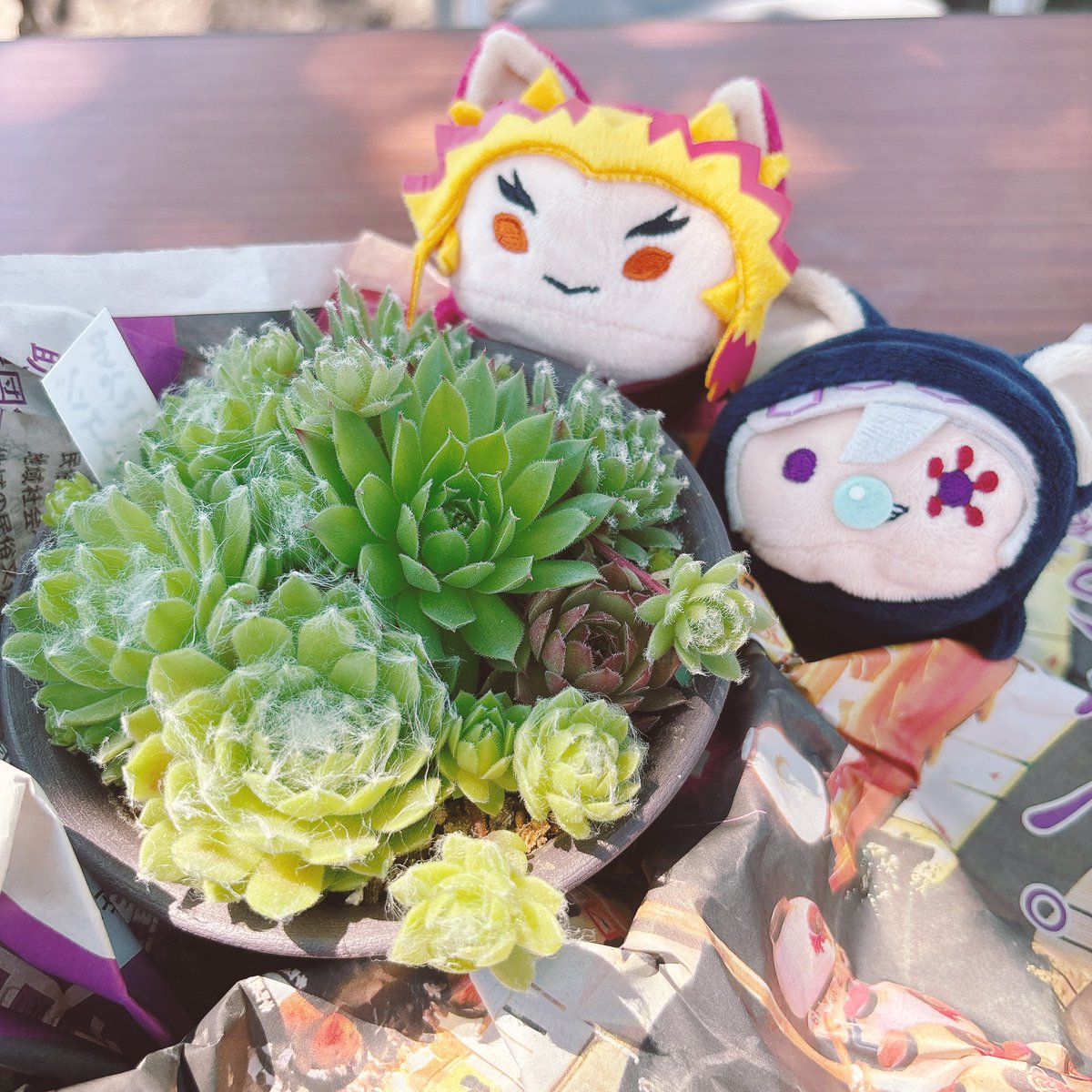 もちやま Post by もちやま on X: 🌵🍧
