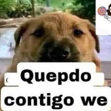 Momazos_RH tweet media