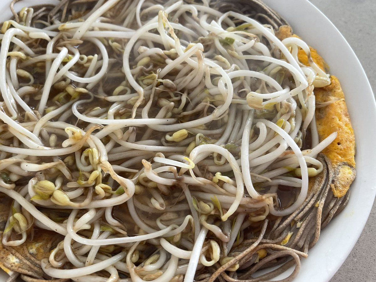 noadster_nd's tweet photo. 自家製もやしで仕上げた、もやしあんかけ焼き蕎麦🇯🇵
ベトナムではなかなか出会えない、太くてシャキッとした食感
この“噛んだ瞬間の存在感”だけで、もう十分うまい
#Vietnam 
#自家製もやし
#おうちごはん https://t.co/MANpq4jqOa