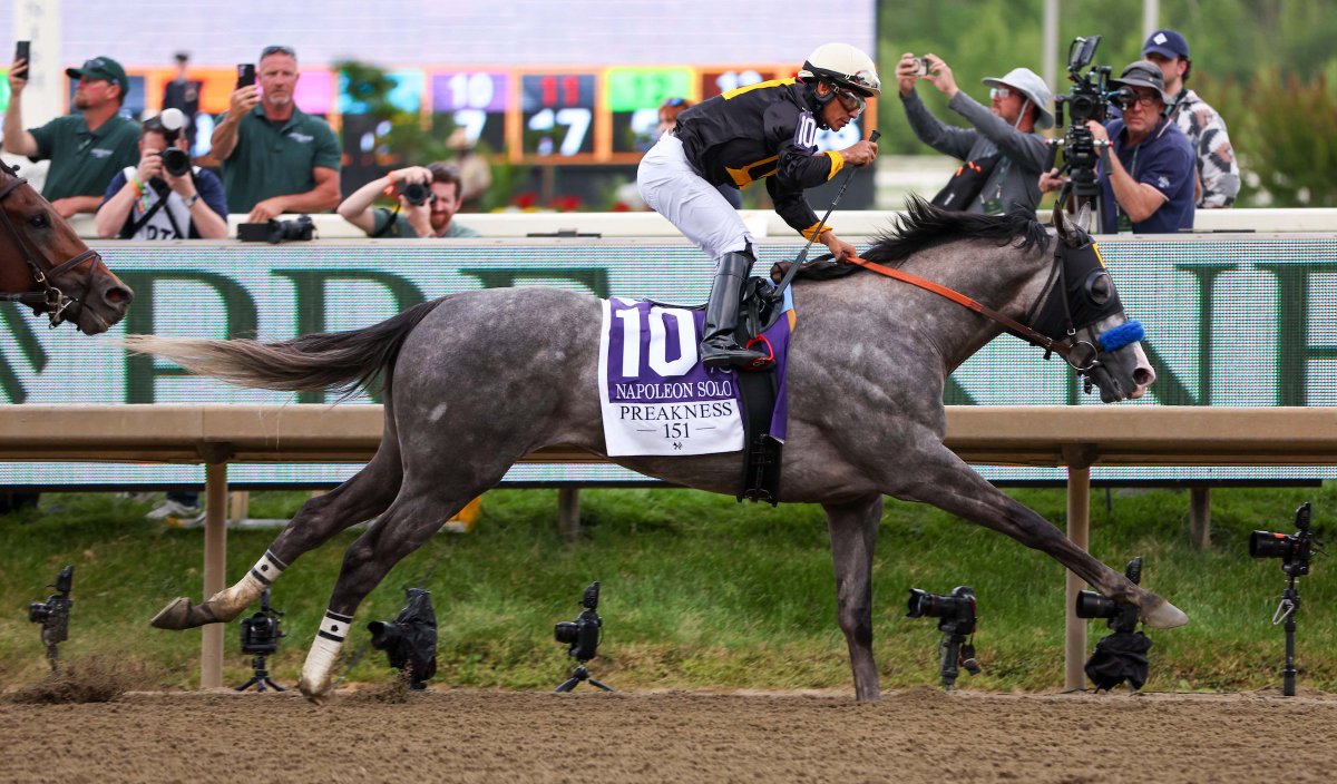 Bobby At The Spa | Horse Racing tweet media