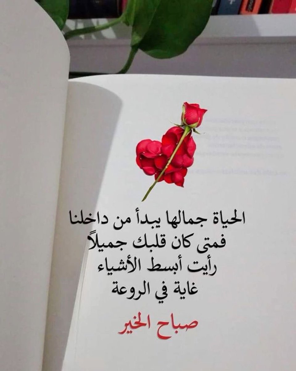 ‏ورد السبيعي tweet media