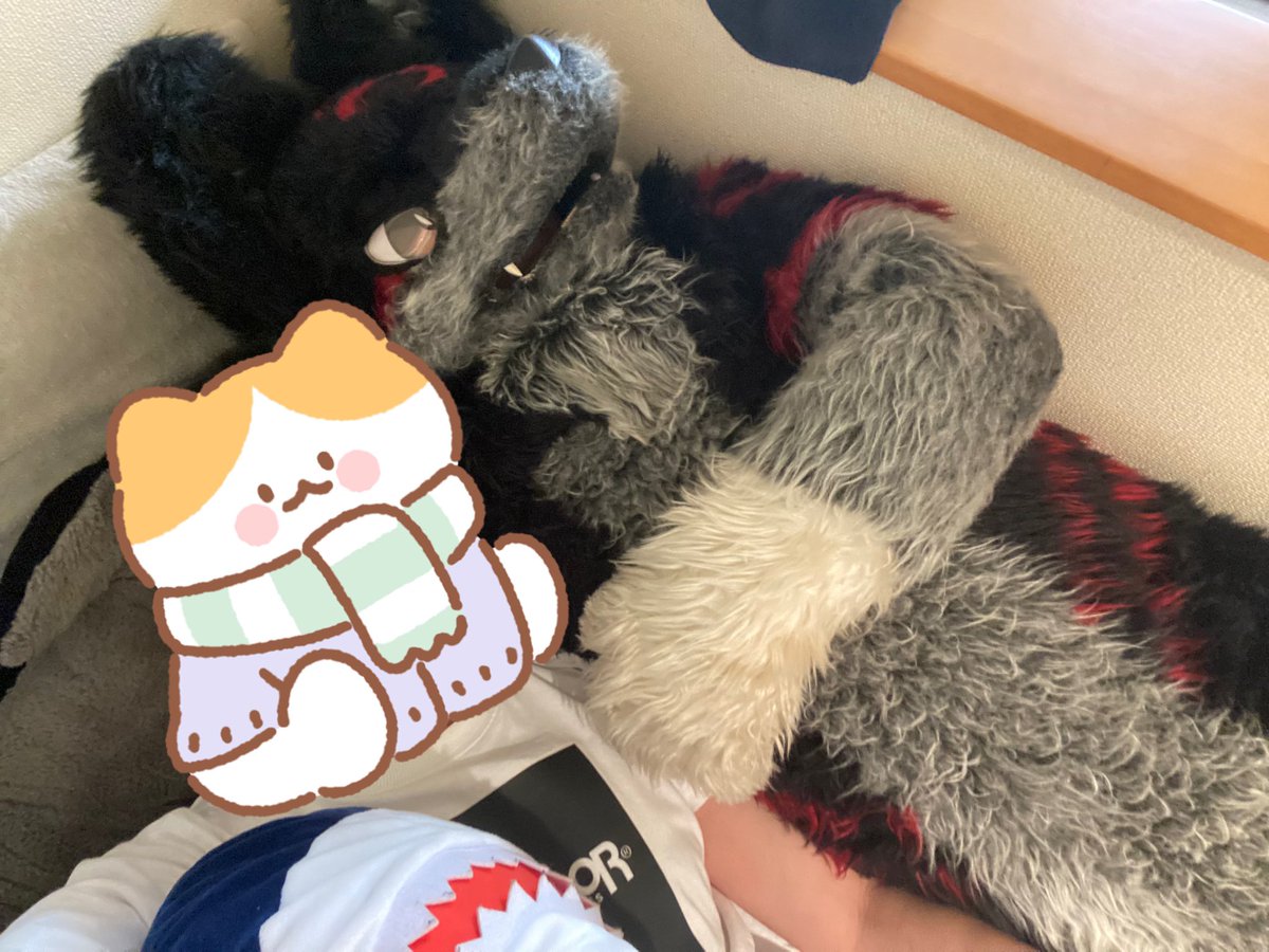 マテくん tweet media