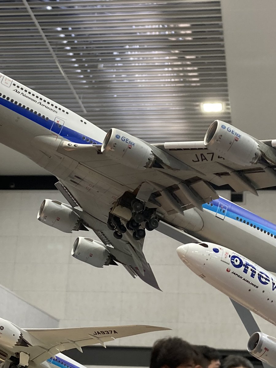hp_kobayashi's tweet photo. そしてついに
すぎたんさんの
ANA 747-8
拝見することができました！

主翼や前後のギアの
丁寧な改造工作はもちろん
スタンドプレートまで
美しく仕上げられていました
#静岡ホビーショー2026 https://t.co/be5cCDgjAE