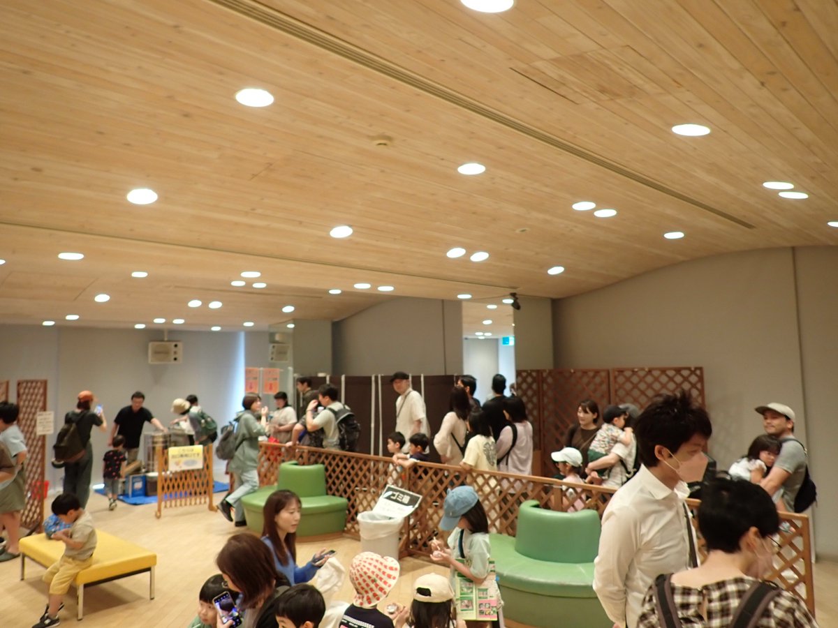石川県ふれあい昆虫館 tweet media