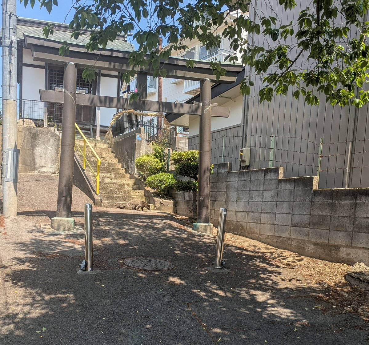 増田淳(ますだあつし) tweet media