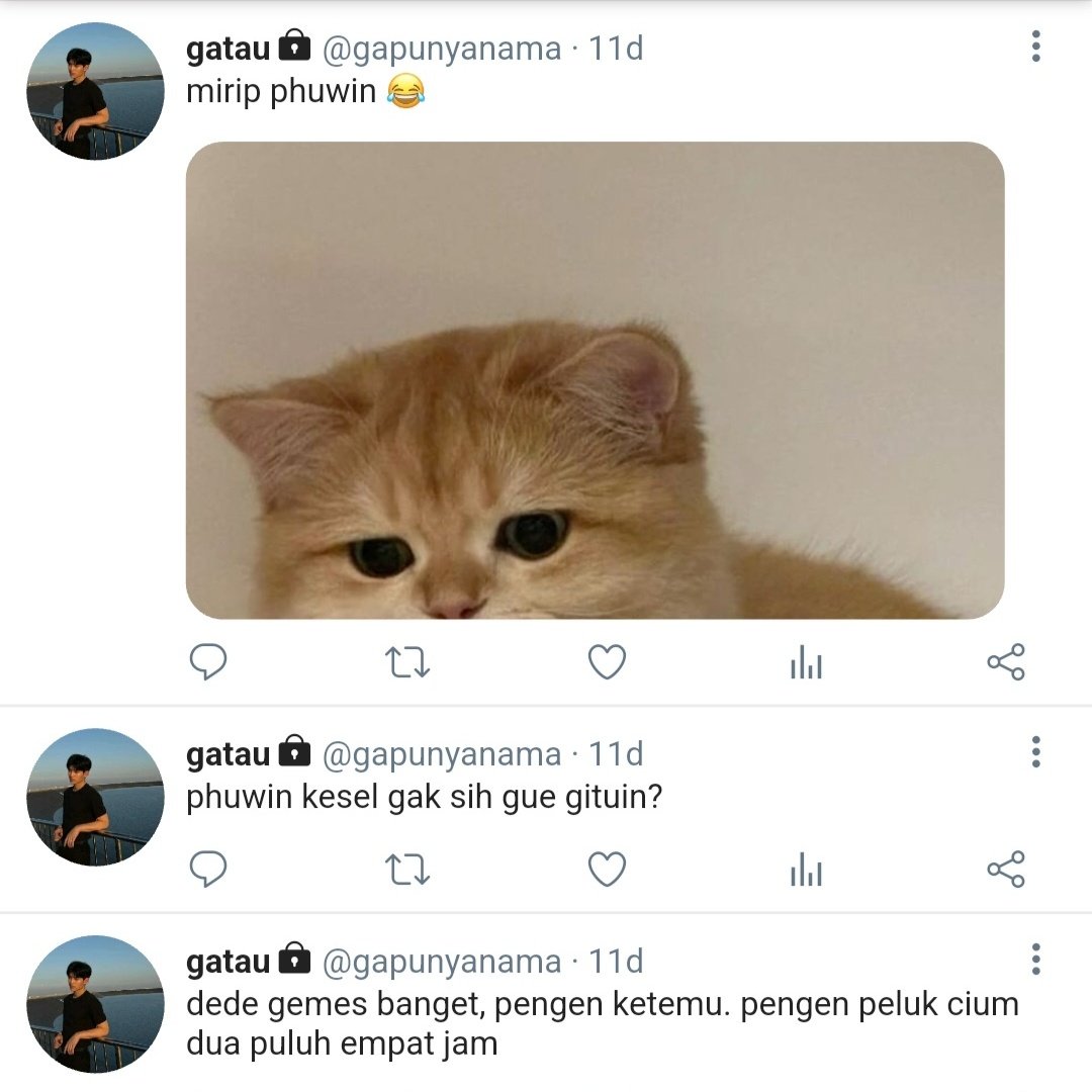 primrose. tweet media