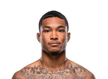 THE Fight Guy tweet media