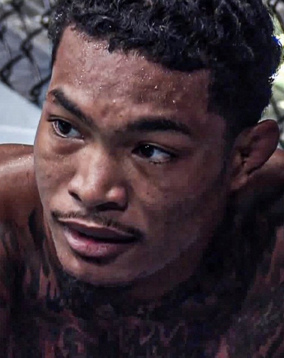 Chicken King MMA tweet media