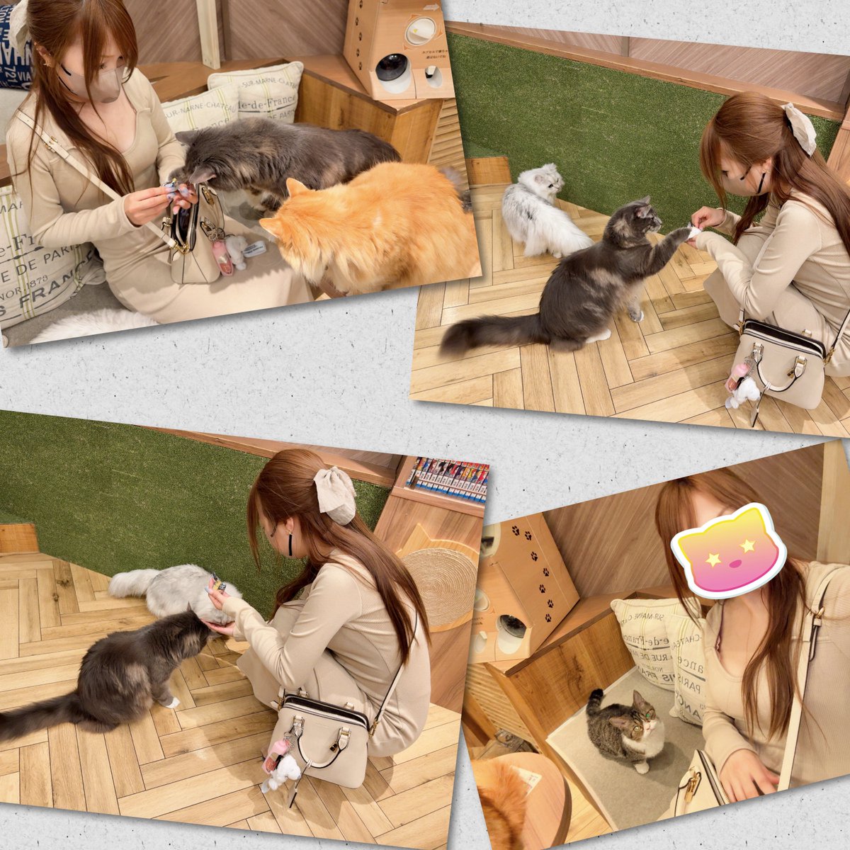 🐱megu🐱 tweet media