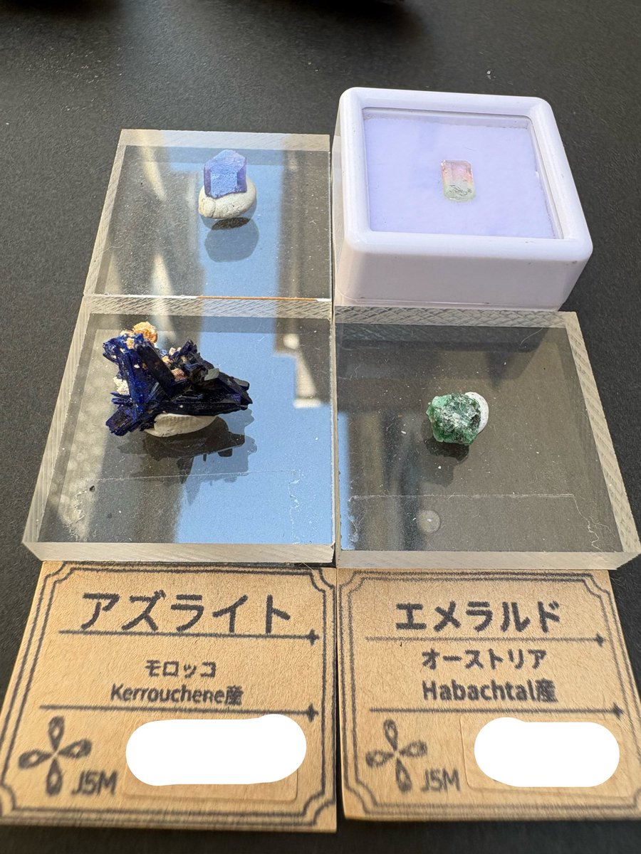 シャミ桃 tweet media