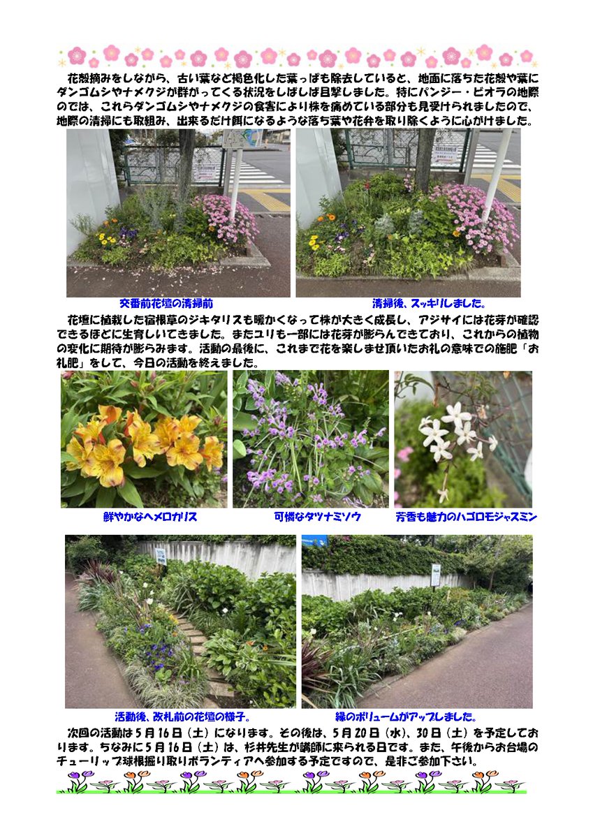 tptckoen's tweet photo. 🌷花壇ボランティア報告(G-g通信vol.443)🌷

令和8年4月25日（土）実施の花壇ボランティアのご報告です。 https://t.co/F8wFTmdedW