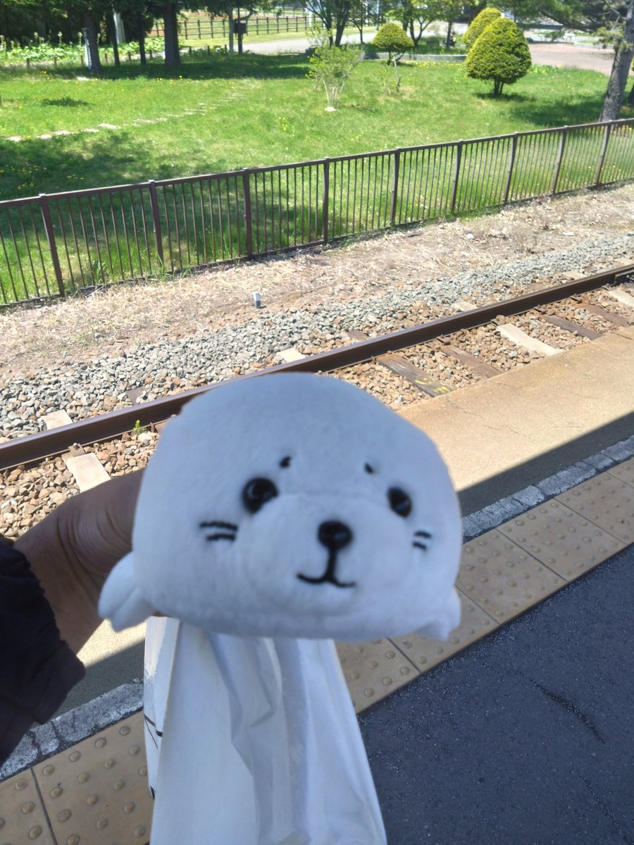 hiro@2026年も全力疾走！ tweet media