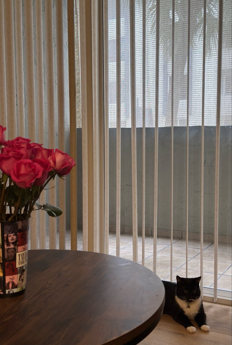 dollfacedcupid's tweet photo. new apartment with the loml and our kitties :)) https://t.co/F5eXETXPBh
