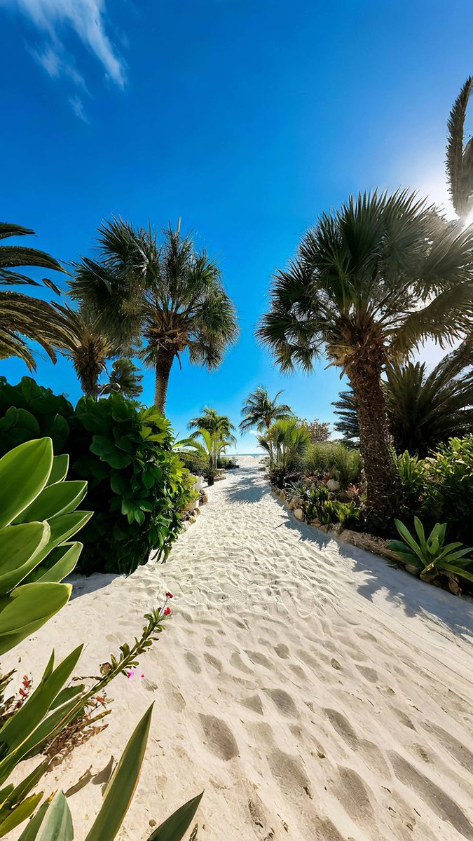 NatureS62256's tweet photo. USA beache 🇺🇸 https://t.co/1bUrENuDRL